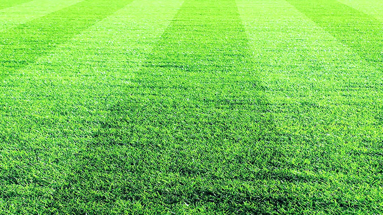 Rot-Weiss Frankfurt - KSV Baunatal